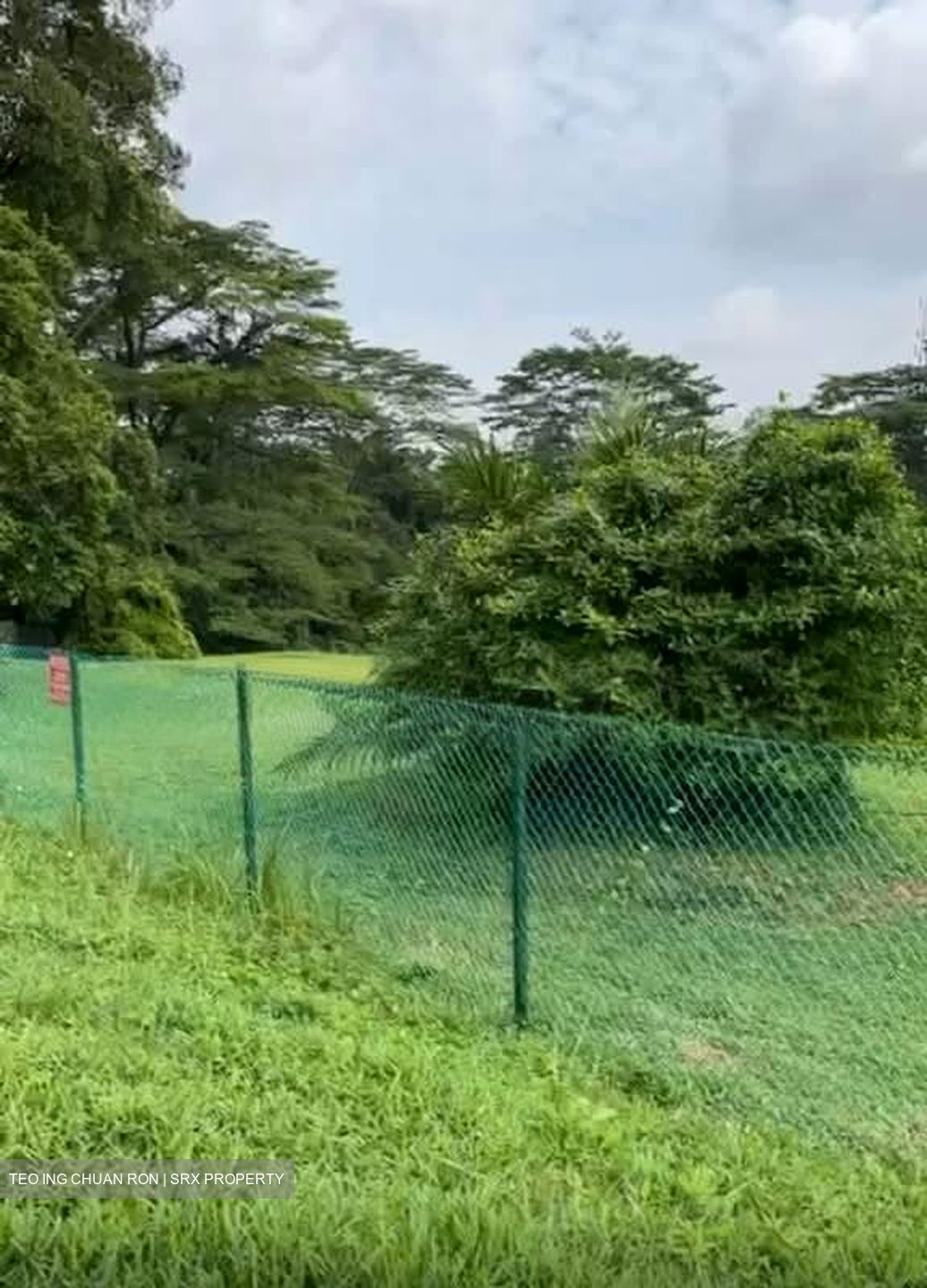 Tanglin Hill (D10), Detached #589839441